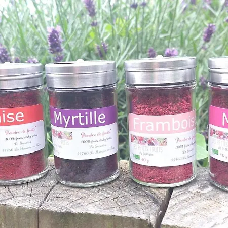 Myrtilles - Et Commerces A Proximite *